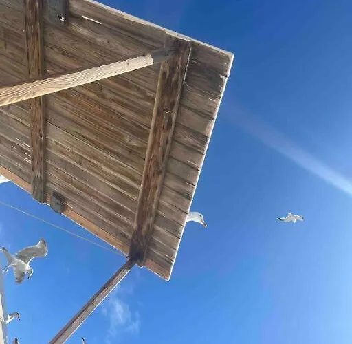 De Bollenschuur Holiday home Egmond aan Zee