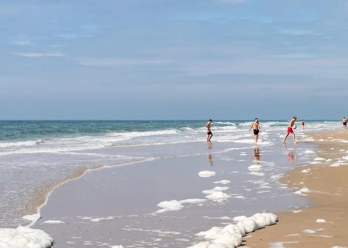 De Bollenschuur Holiday home Egmond aan Zee