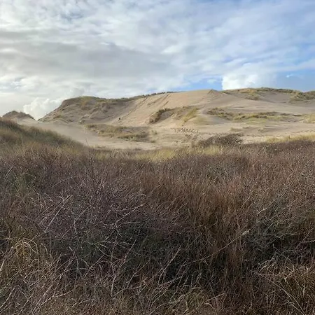 Дом отдыха De Bollenschuur *