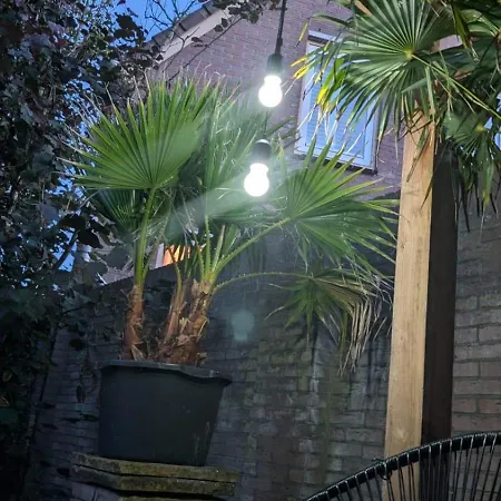 De Bollenschuur * Эгмонд-ан-Зее