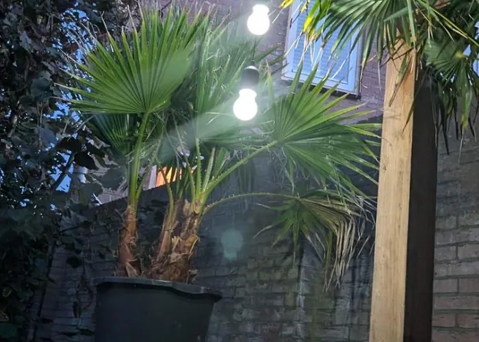 De Bollenschuur * Egmond aan Zee